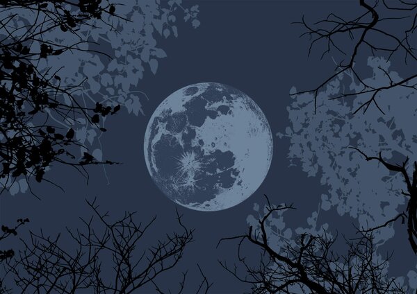 Fototapet Luna pe cer, Fototapet natură, Fototapet populare, t00316v1 - Tapeko.ro