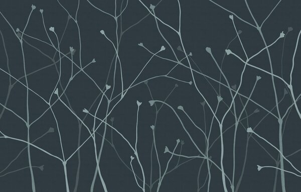 Fototapet Ramuri delicate pe un fundal întunecat, Fototapet natură, Fototapet populare, t00329v1 - Tapeko.ro