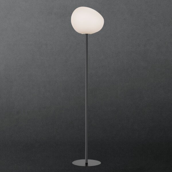 Foscarini Gregg media lampă podea, 151cm, grafit, reglabil, Negru, Camera de zi / sufragerie, Sticlă, Design