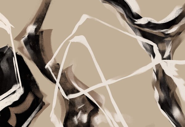 Fototapet Liniile abstracte creează un efect vizual intrigant, Fototapet abstracte, Fototapet populare, t00447v1 - Tapeko.ro