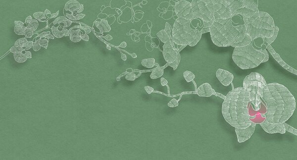 Fototapet Orhidee delicate pe un fundal verde, Fototapet flori, Fototapet populare, t00526 - Tapeko.ro