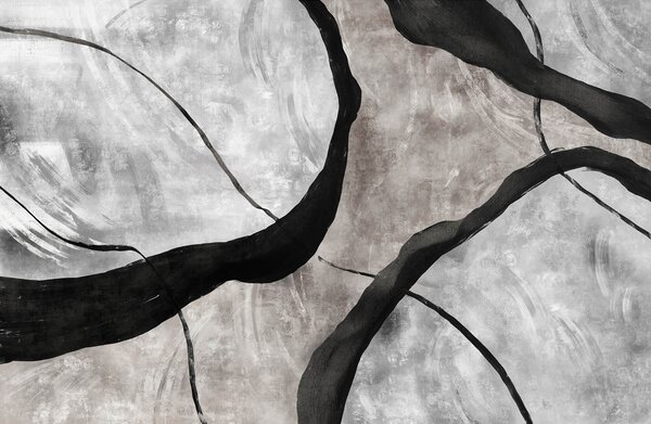 Fototapet Pictură în alb și negru, Fototapet abstracte, Fototapet populare, t00513 - Tapeko.ro