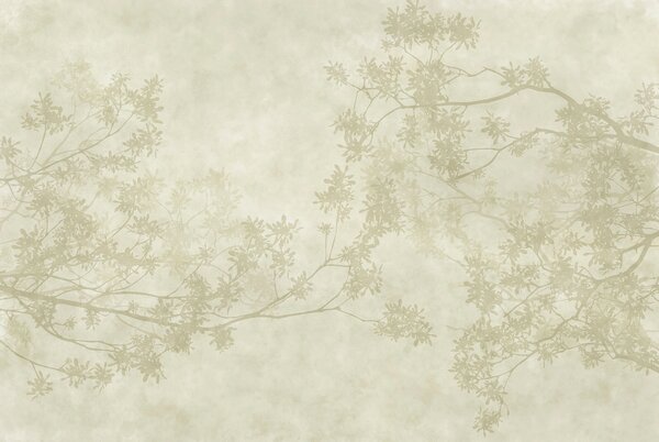 Fototapet Wall murals Tree branches with leaves, Fototapet frunze, Fototapet populare, t00578 - Tapeko.ro