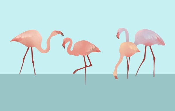 Fototapet Grup de flamingo stând în apă, Fototapet pădure, Fototapet populare, t00607 - Tapeko.ro