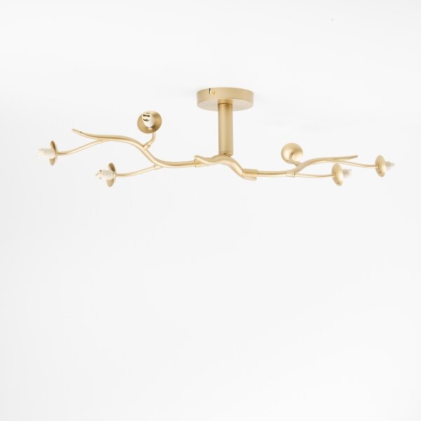 Lustră LED aplicată Brilagi MISTEL 6xG9/3W/230V auriu/alb
