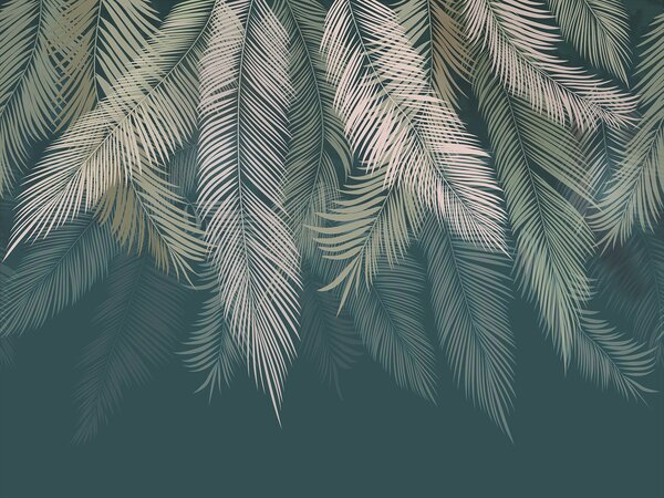 Tapet Frunze de palmier pe un fundal verde închis, Fototapet pădure, Fototapet Tropics, u48556v2 : Uwalls.ro