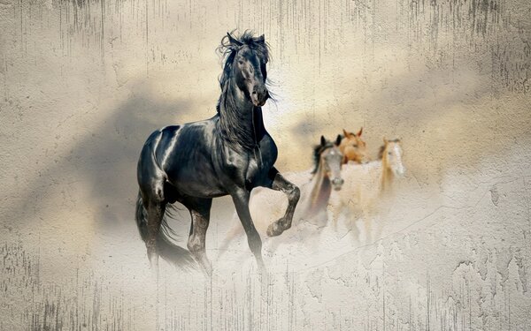 Tapet Cal, vertebrat și animal de muncă, Fototapet Animale, Fototapet Caii, u45777 : Uwalls.ro