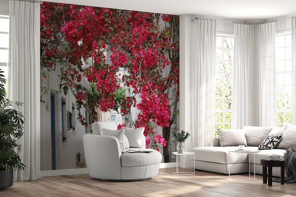 Tapet Floare, zi și petală, Fototapet Natură, u60583 : Uwalls.ro