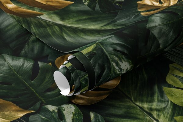 Tapet Botanică, plantă e frunză, Fototapet pădure, Fototapet Tropics, u22273 : Uwalls.ro