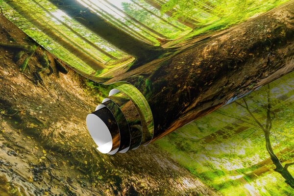 Tapet Transparența fluxului forestier, Fototapet Natură, u93621 : Uwalls.ro