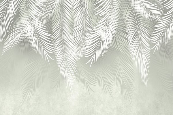 Tapet Văl de frunze de palmier pale, Fototapet pădure, Fototapet Tropics, u74489 : Uwalls.ro