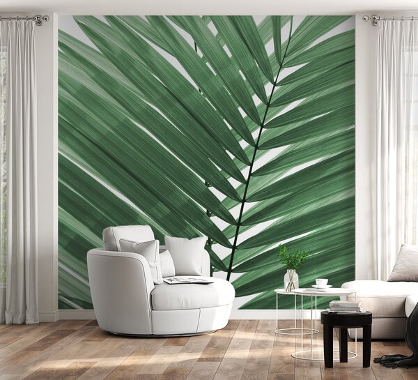 Tapet Frunze de palmier, Fototapet pădure, Fototapet Tropics, u97550v2 : Uwalls.ro