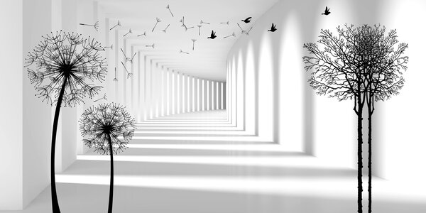 Tapet Adâncime și lumină, Fototapet alb-negru, u37803d2 : Uwalls.ro