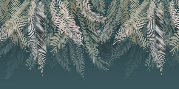 Tapet Frunze de palmier pe un fundal verde închis, Fototapet pădure, Fototapet Tropics, u48556v2d2 : Uwalls.ro