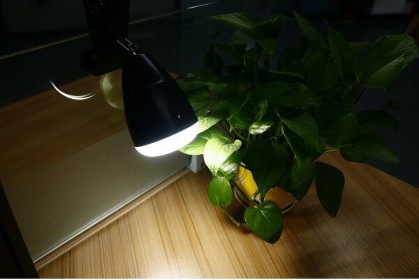 Lampă LED cu clemă LED/5W/5V/4000K