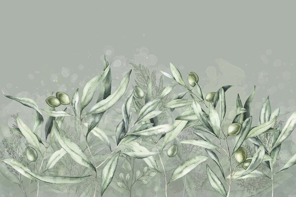 Tapet Măsline ilustrare, design floral, tropical, acuarelă, frunze mari, culori verzi, Fototapet Natură, w00407 : Uwalls.ro