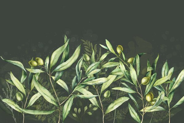 Tapet Măsline ilustrare, design floral, tropical, acuarelă, frunze mari, fundal întunecat, Fototapet Natură, Fototapet Frunze, w00407v4 : Uwalls.ro
