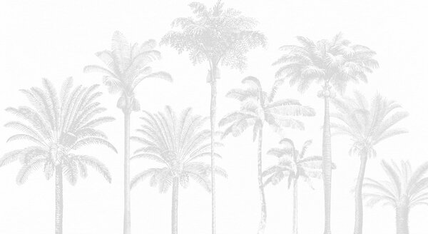 Tapet Palmieri tropicali oază minimă de culoare gri, Fototapet Natură, w08111v2 : Uwalls.ro