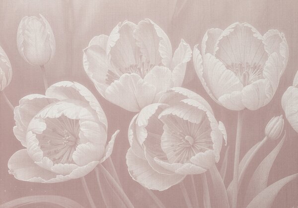 Fototapet Textură florală elegantă în roz, Populare fototapet, Populare fototapet, w08193 - Muralas.ro