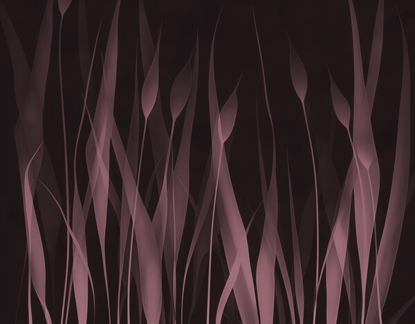 Fototapet Forme abstracte elegante în tonuri de trandafir, Populare fototapet, Populare fototapet, w01019 - Muralas.ro