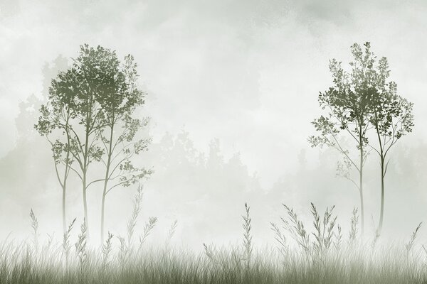 Tapet Pădure cețoasă, peisaje naturale, pajiște, copaci, culoare verde, Fototapet Natură, w01547v2 : Uwalls.ro