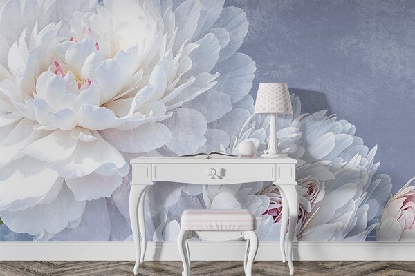 Tapet Flori de bujor albe detaliate, cu petale moi, delicate, pe un fundal texturat albastru pastel deschis, Fototapet Flori, w08379 : Uwalls.ro