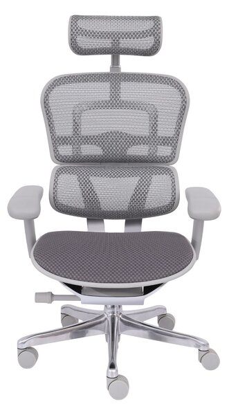 Scaun de birou Ergohuman 2 Elite GT Grey