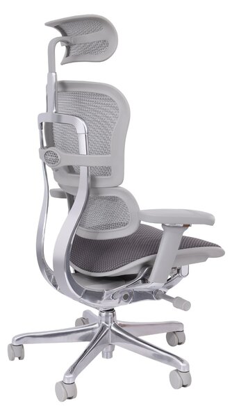 Scaun de birou Ergohuman 2 Elite GT Grey