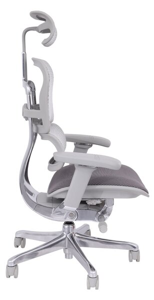 Scaun de birou Ergohuman 2 Elite GT Grey