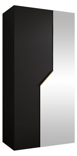 Dulap Hartford 597Negru, Auriu, 20x10x5cm, Uși dulapUși dulap: Cu balamale