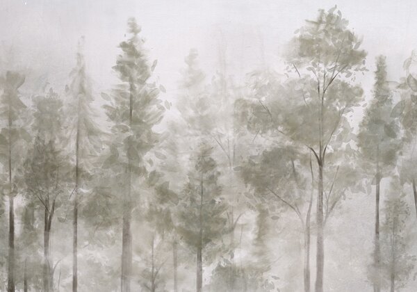 Tapet Pini înalți texturați într-o pădure cețoasă, cu o atmosferă încețoșată, cețoasă, Fototapet Natură, w08411 : Uwalls.ro