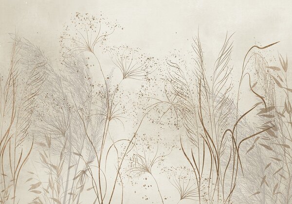 Tapet O ilustrare monocromă a diferitelor plante bej și spikelets cu linii delicate, wispy și texturi , Fototapet Acuarelă, w08441 : Uwalls.ro