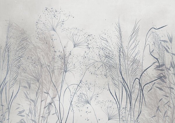 Tapet O ilustrare monocromă a diferitelor plante gri și spikelets cu linii delicate, wispy și texturi , Fototapet Acuarelă, w08441v1 : Uwalls.ro