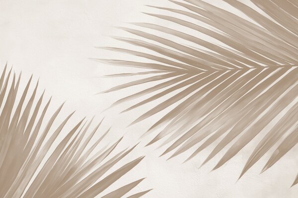 Tapet Bej abstract frunze de palmier, Fototapet pădure, Fototapet Tropics, w08653v1 : Uwalls.ro