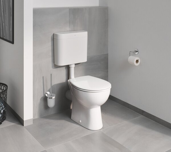 Grohe Cosmopolitan perie de toaletă înșurubat StarLight Chrome 40463001
