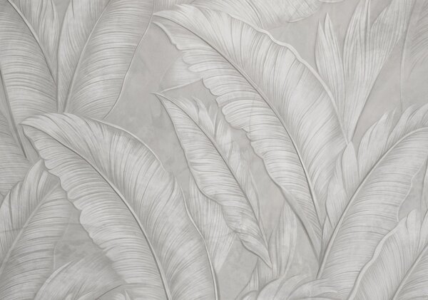 Tapet Foarte texturate detaliate frunze tropicale mari într-o culoare gri deschis, Fototapet pădure, Fototapet Tropics, w08772 : Uwalls.ro