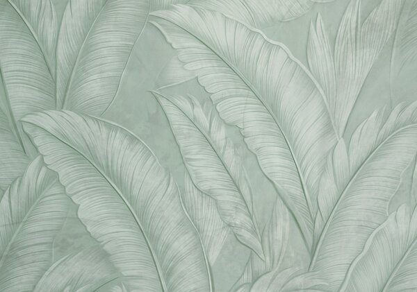 Tapet Frunze tropicale mari detaliate foarte texturate într-o culoare verde monocromatică, Fototapet pădure, Fototapet Tropics, w08772v1 : Uwalls.ro