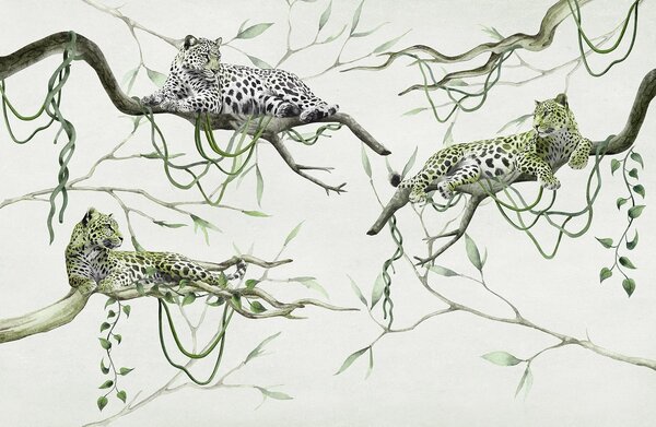 Fototapet Grup de leoparzi culcați pe ramuri, Fototapet jungle, Fototapet populare, w03146v1 - Tapeko.ro