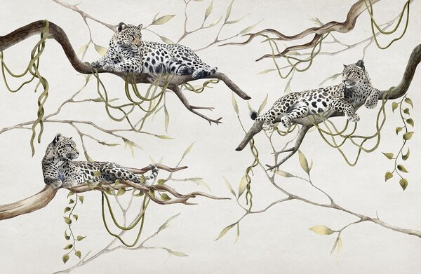 Fototapet Grup de leoparzi culcați pe ramuri, Fototapet animale, Fototapet populare, w03146v4 - Tapeko.ro