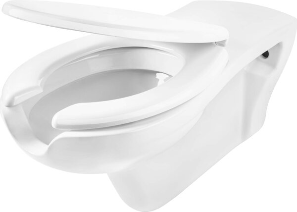 Deante Vital, bol suspendat pentru persoane cu handicap 68x37x35 cm, alb, CDV_6WPW