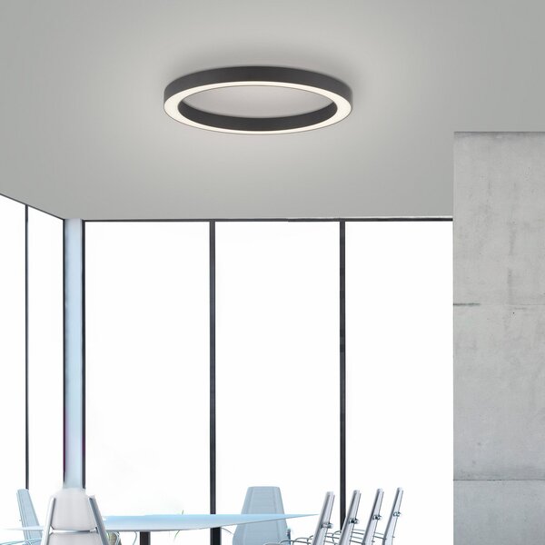 PURE Plafonieră LED Lines, Ø 50 cm, antracit, CCT, telecomandă, reglabil, Negru, Camera de zi / sufragerie, Metal, Modern