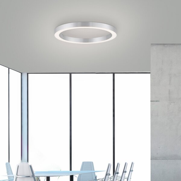 PURE Plafonieră LED Lines, Ø 50 cm, culoare argintiu, CCT, reglabil, Gri, Camera de zi / sufragerie, Metal, Modern