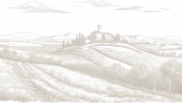 Tapet Toscana peisaje, Italia, podgorii, natura, castel vechi, culori bej, Fototapet Provence, w03349 : Uwalls.ro