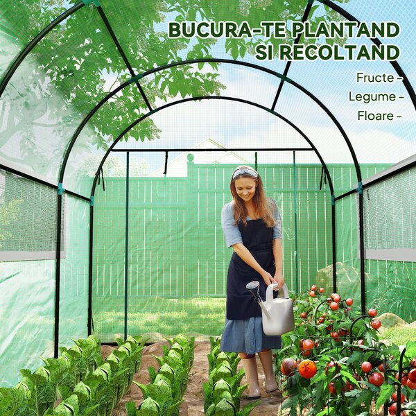 Outsunny Seră tip Tunel Walk-In 300 x 200 cm - Verde | Aosom Romania