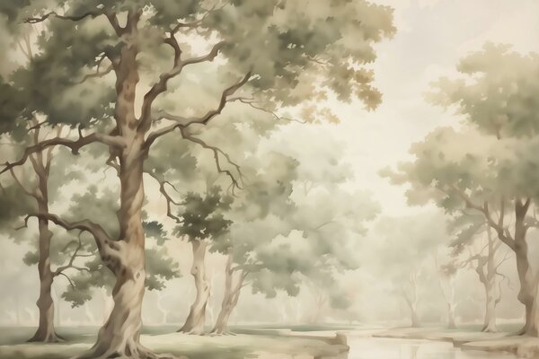 Tapet Oak grove imitație de acuarelă încețoșată, Fototapet pădure, Fototapet Birches, w03465 : Uwalls.ro