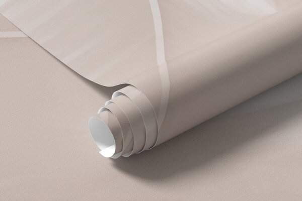 Tapet Pene albe, Fototapet Penele, w03833v2 : Uwalls.ro