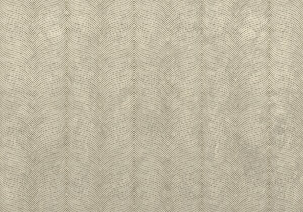 Fototapet Modele elegante în formă de valuri pe un fundal neutru, Fototapet geometrice, Fototapet populare, t00708 - Tapeko.ro