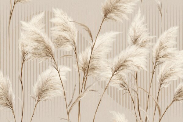 Tapet Iarbă de pampas pe un fundal de linii în tonuri de bej, Fototapet Natură, w09104 : Uwalls.ro