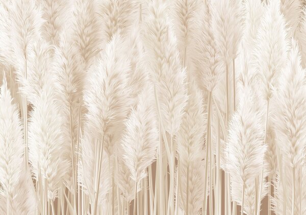 Tapet Iarbă de pampas în tonuri de bej, Fototapet Natură, w09126 : Uwalls.ro