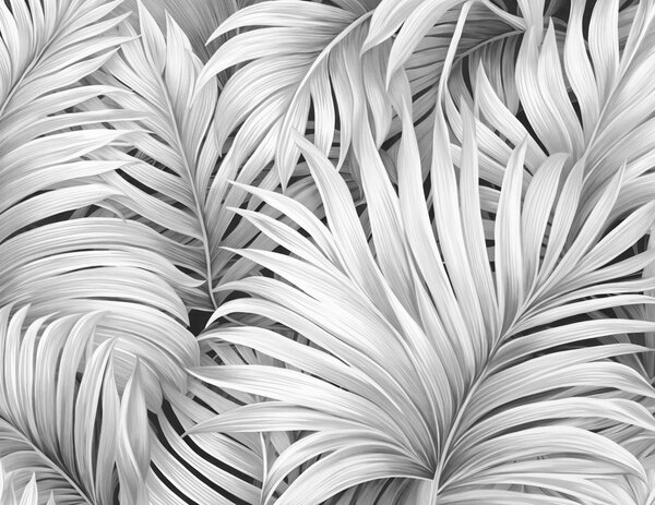 Tapet Frunze de palmier tropical cu textură monocromă, creând un imprimeu tropical, Fototapet Natură, Fototapet Foi de palmier, w09145 : Uwalls.ro
